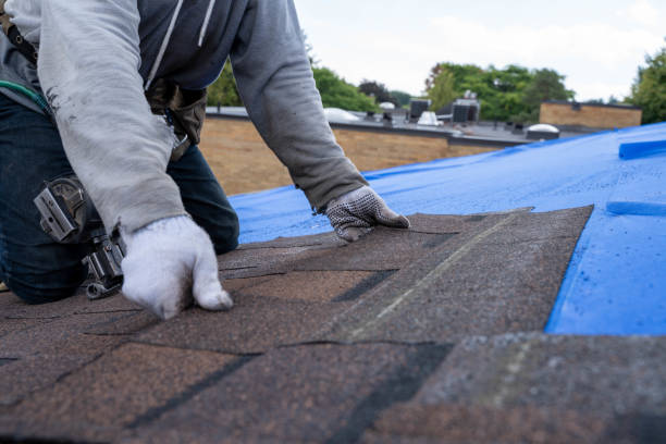 Best Flat Roof Repair Services  in Hamtramck, MI