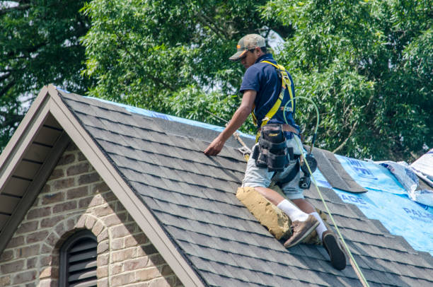 Best Shingle Roofing Installation  in Hamtramck, MI